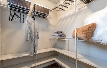 Walk In Closet in Every Bedroom at Indigo Apartments, Georgia, 30504